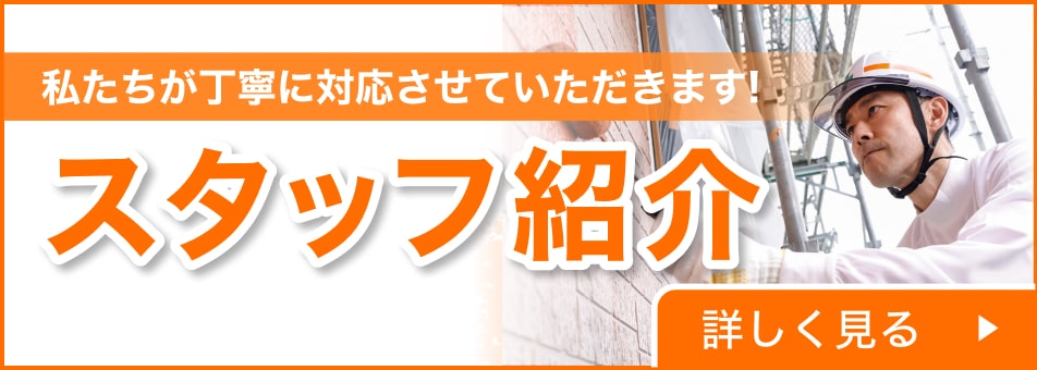 スタッフ紹介